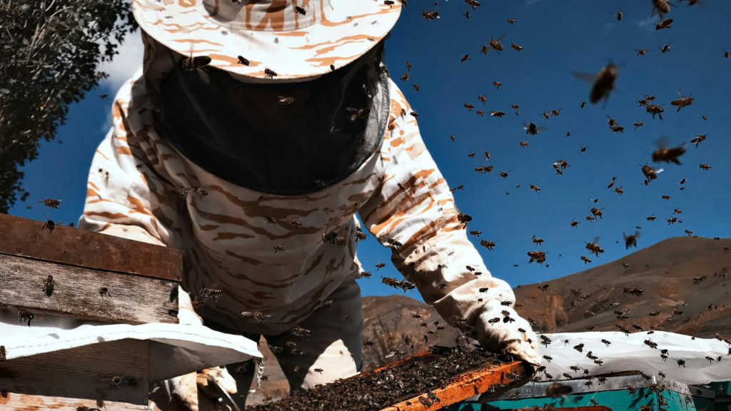 the challenges during beekeeping